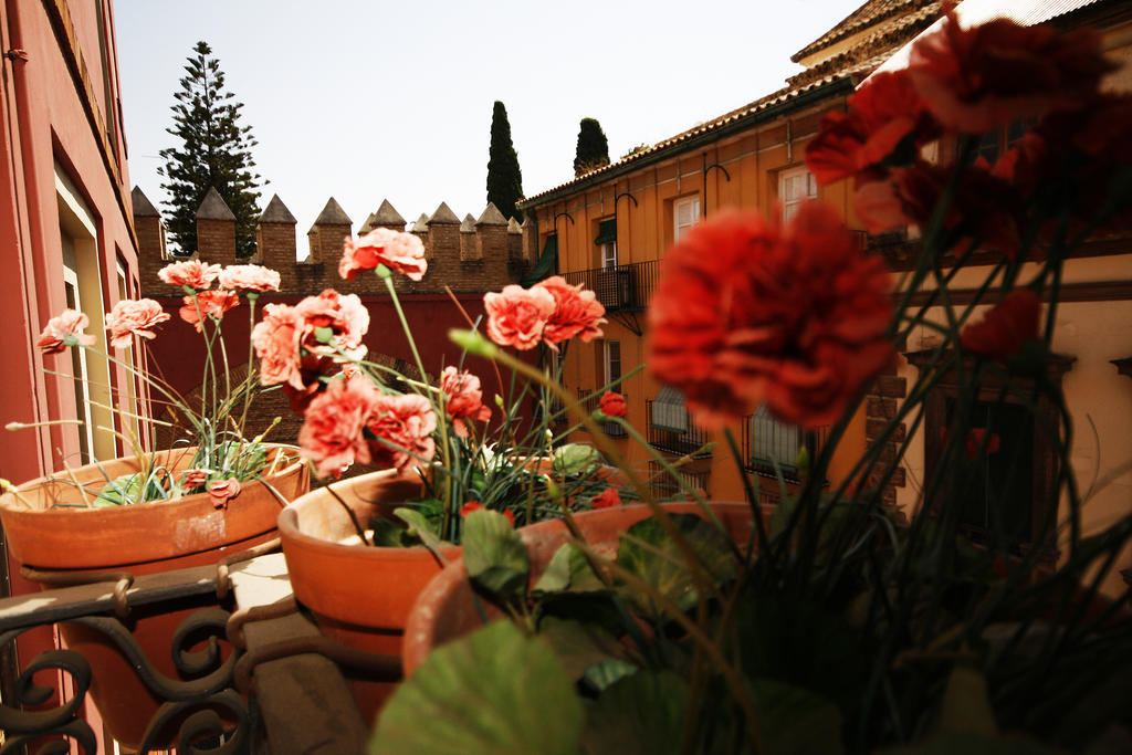 Hostal Van Gogh Sevilla Exteriér fotografie